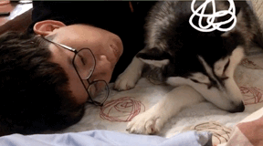 养狗后你多了些什么怪癖?