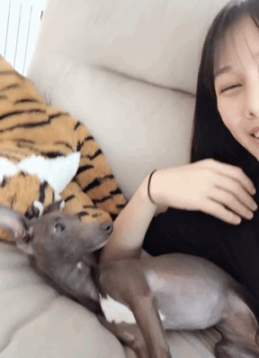 养狗后你多了些什么怪癖?