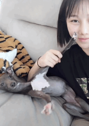 养狗后你多了些什么怪癖?