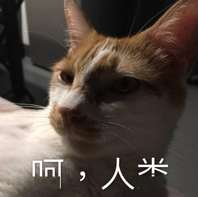 人可以吃猫粮吗?