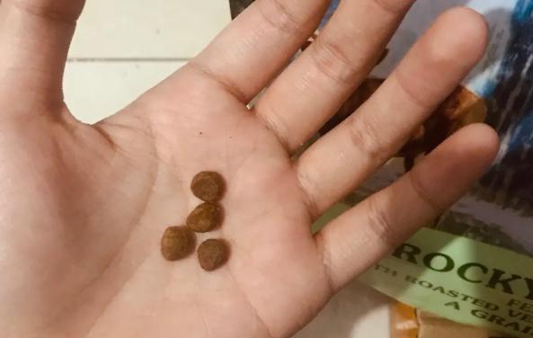 人可以吃猫粮吗?