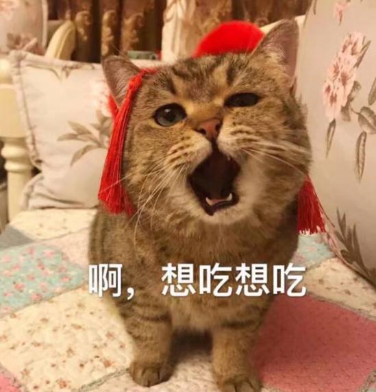人可以吃猫粮吗?
