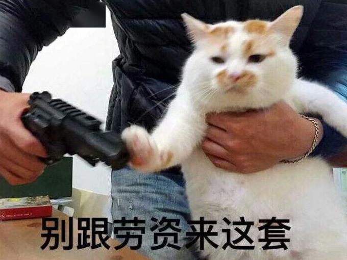 人可以吃猫粮吗?
