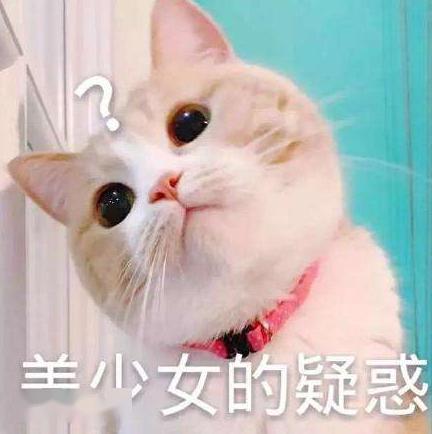 人可以吃猫粮吗?