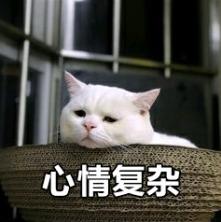 人可以吃猫粮吗?