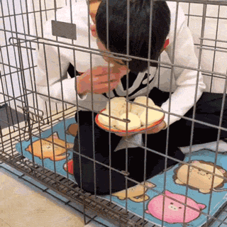 养狗的8大坏处,看完还敢养的,一定是真爱了