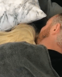 养狗的8大坏处,看完还敢养的,一定是真爱了