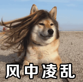 养狗的8大坏处,看完还敢养的,一定是真爱了