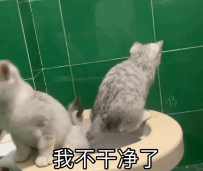 “好奇猫奶是什么味道,有人和我一样喝过猫奶吗?”