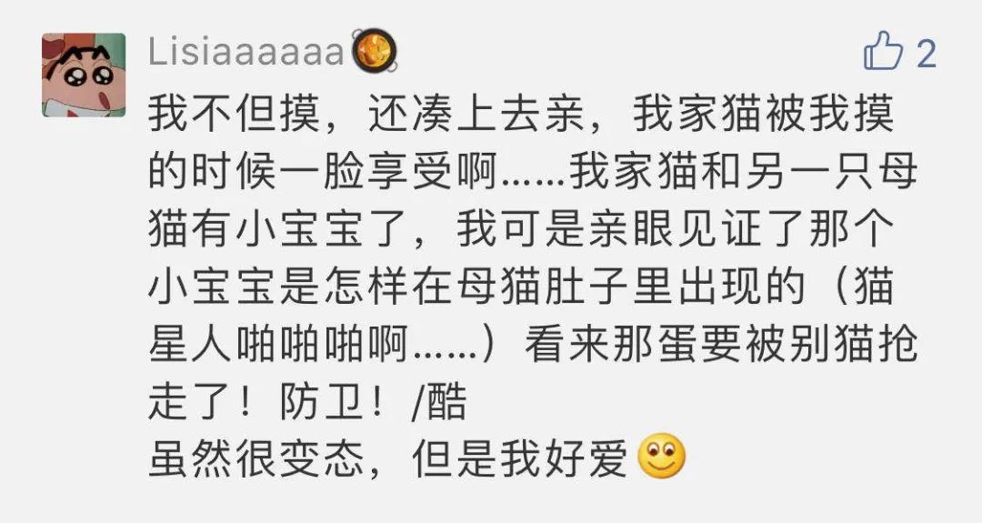 “好奇猫奶是什么味道,有人和我一样喝过猫奶吗?”