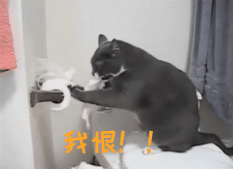 “好奇猫奶是什么味道,有人和我一样喝过猫奶吗?”