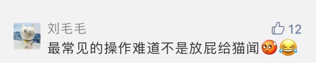 “好奇猫奶是什么味道,有人和我一样喝过猫奶吗?”