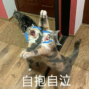 “好奇猫奶是什么味道,有人和我一样喝过猫奶吗?”