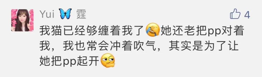 “好奇猫奶是什么味道,有人和我一样喝过猫奶吗?”