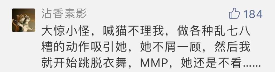 “好奇猫奶是什么味道,有人和我一样喝过猫奶吗?”