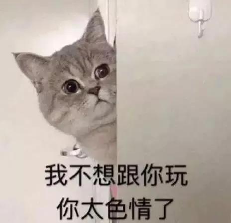 “好奇猫奶是什么味道,有人和我一样喝过猫奶吗?”