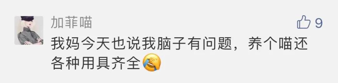 “好奇猫奶是什么味道,有人和我一样喝过猫奶吗?”