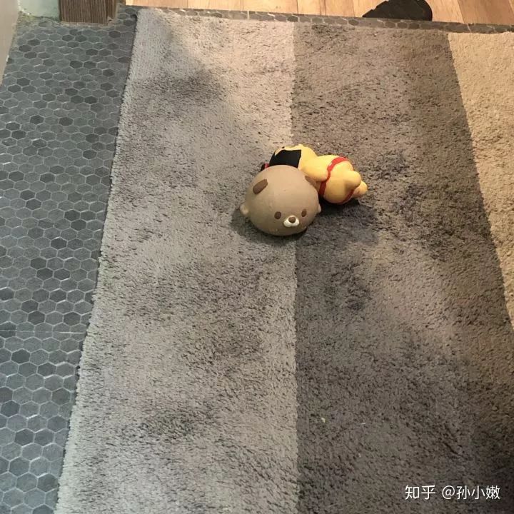 你什么时候发现,狗狗也在爱着你?